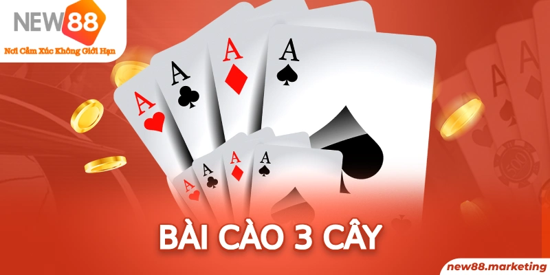 98win01 bản đồ sao cá nhân