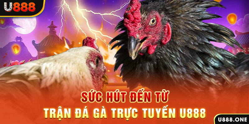 98win01 đá gà trực tiếp c1