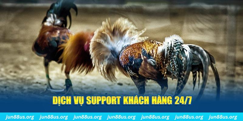 98win01 ÁT CHỦ BÀI GIÀNH LẤY ZHUANG NIUNIU ( XEM 4 LÁ )