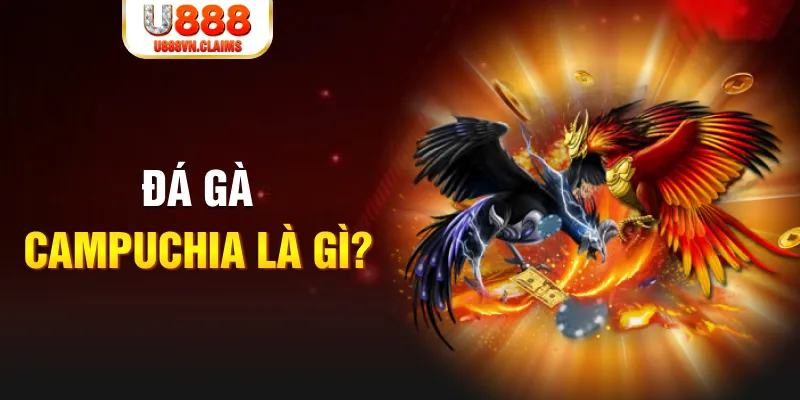 98win01 bắn cá vàng h5
