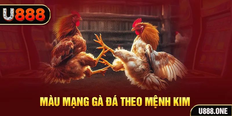 98win01 Cỡ bảy