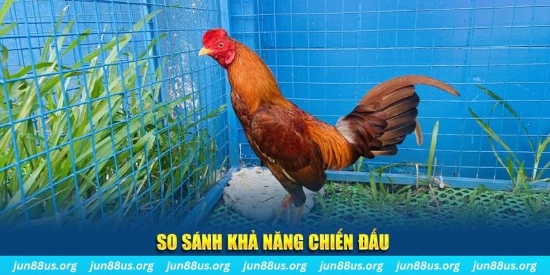 98win01 CQ9 Điện Tử