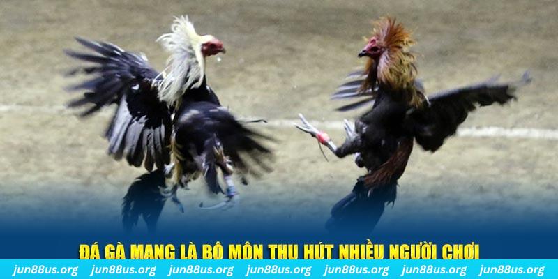 98win01 bắn cá au88