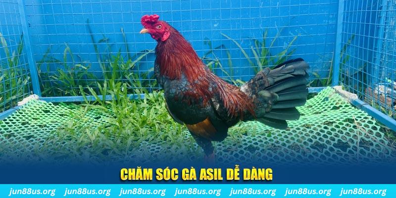 98win01 game bài là gì