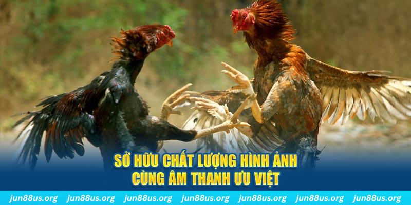 98win01 PP Điện Tử
