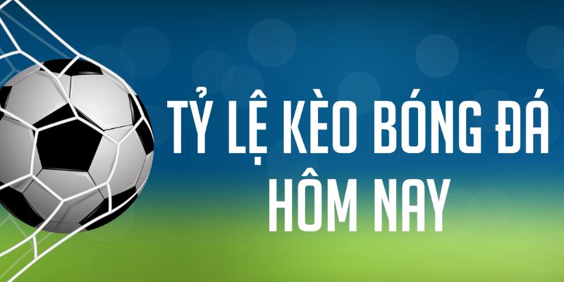 98win01 gà chọi c1 mới nhất