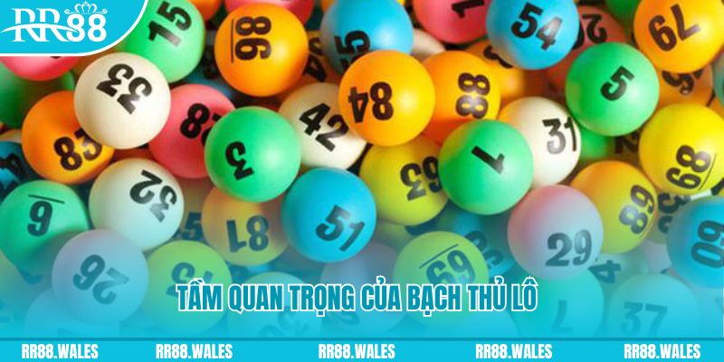 98win01 xổ số an giang