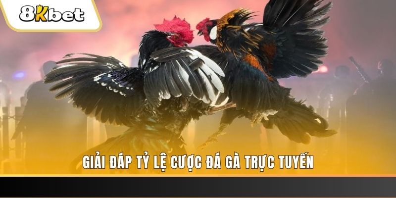 98win01 xổ số đài miền trung