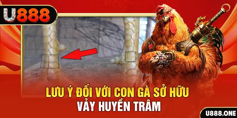 98win01 kết quả xổ số miền nam hôm nay