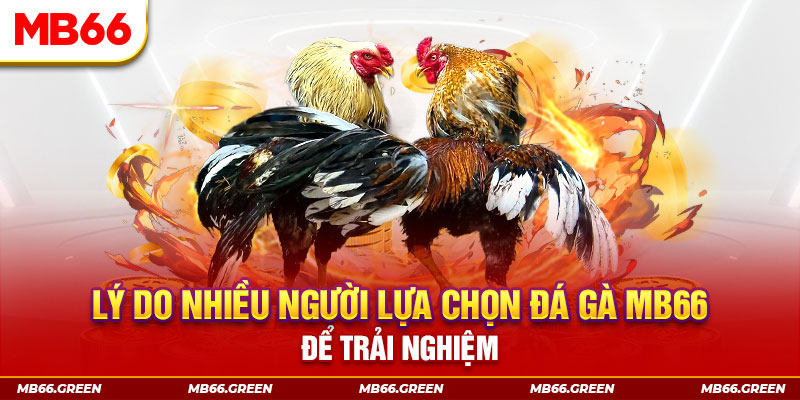 98win01 xổ số miền bắc thứ bảy hàng tuần
