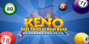 98win01 gà chọi c1 thomo