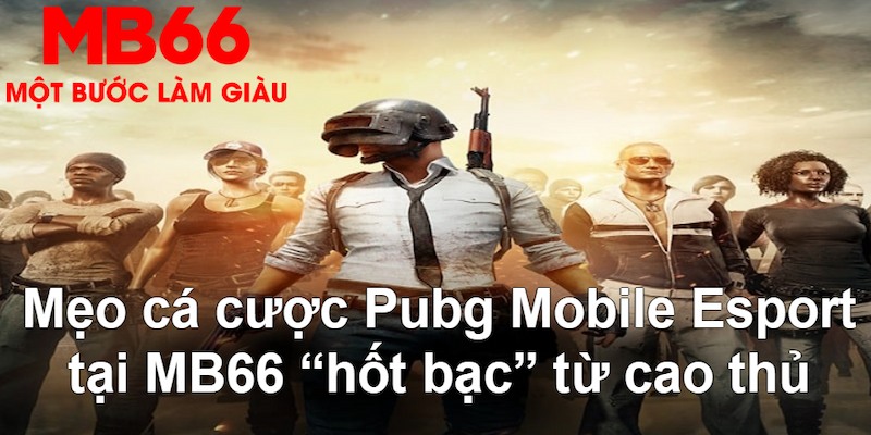 98win01 VA Bắn cá