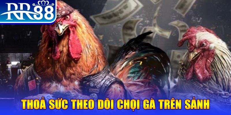 98win01 trực tiếp đá gà c1