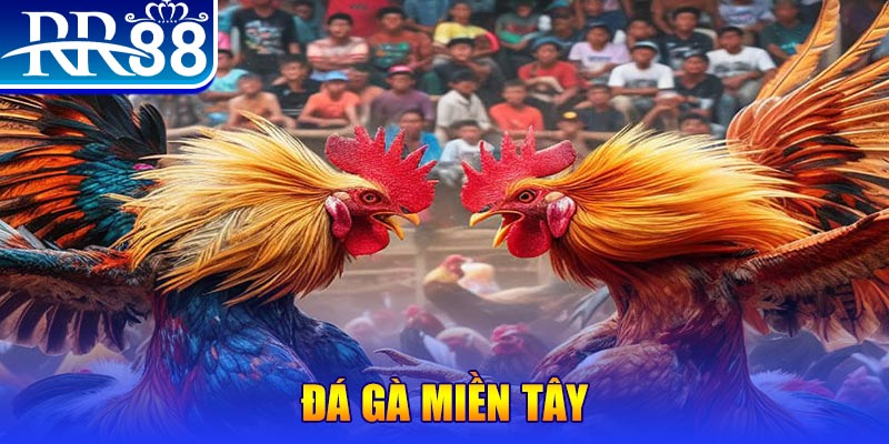 98win01 no hu doi thuong ai