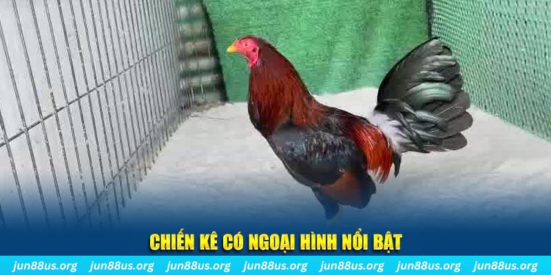 98win01 game nổ hũ là gì