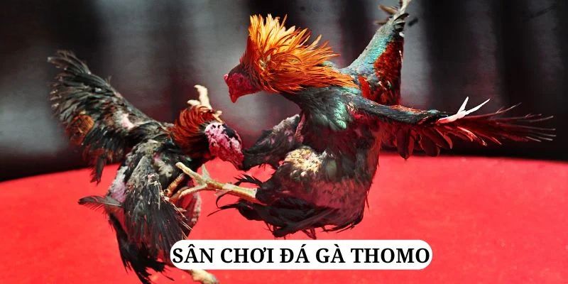 98win01 trực tiếp xổ số miền bắc